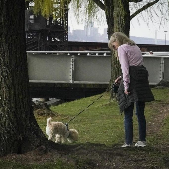 Scooby doobie don't: Discarded joints pose hazards for dogs